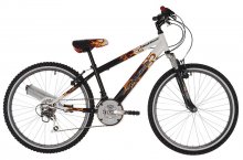 Raleigh Hot Rod 24 Inch